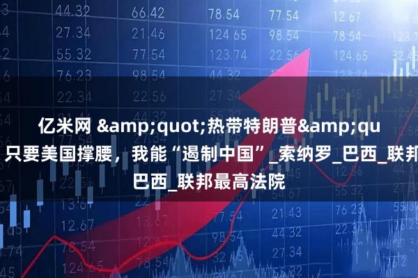 亿米网 "热带特朗普"吹嘘:只要美国撑腰,我能“遏制中国”_索纳罗_巴西_联邦最高法院