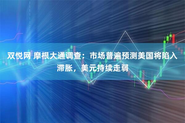 双悦网 摩根大通调查:市场普遍预测美国将陷入滞胀,美元持续走弱