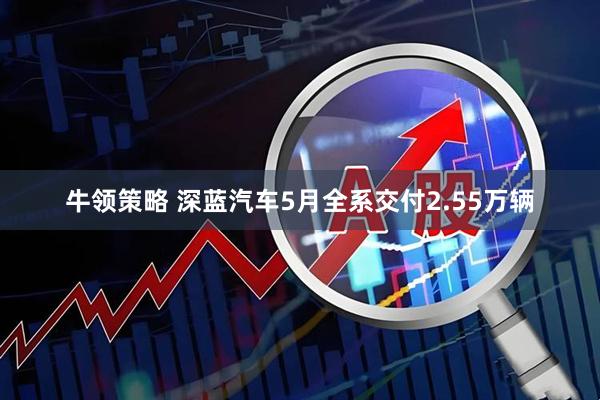 牛领策略 深蓝汽车5月全系交付2.55万辆